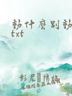 动什么别动感情txt