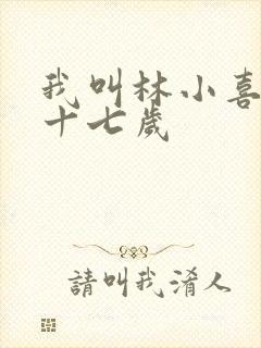 我叫林小喜今年十七岁