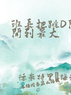 班长把跳D开关开到最大