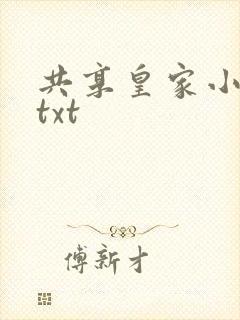 共享皇家小公主txt