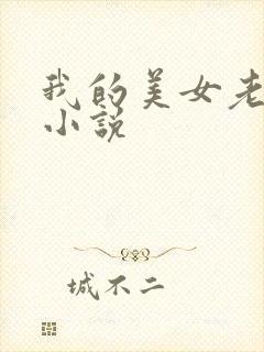我的美女老板 小说
