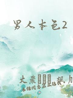男人本色2