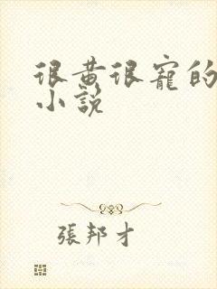 很黄很宠的总裁小说