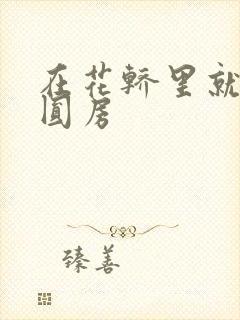 在花轿里就开始圆房