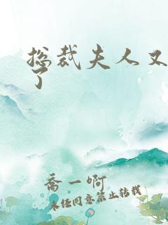 总裁夫人又征婚了