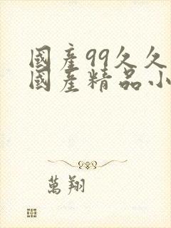 国产99久久久国产精品小说