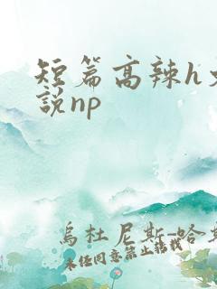短篇高辣h文小说np