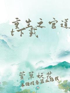 重生之官道txt下载