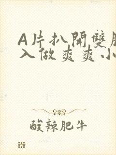 A片扒开双腿进入做爽爽小说