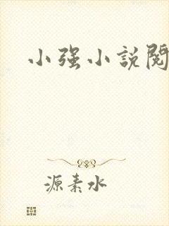 小强小说阅读网