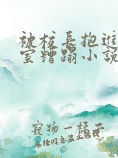 被校长抱进办公室糟蹋小说