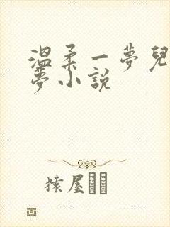 温柔一梦儿媳林梦小说