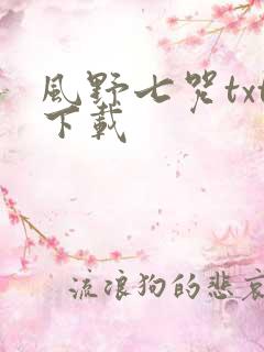 风野七咒txt下载