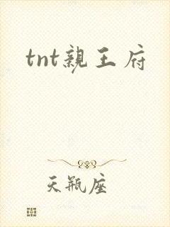 tnt亲王府