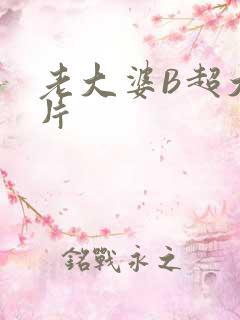 老大婆B超大图片