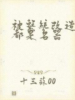 被系统改造全身都是名器