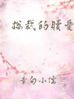 总裁的赎爱宝贝