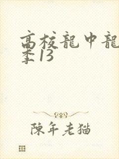 高校龙中龙第二季13