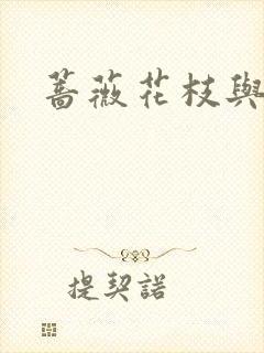 蔷薇花枝与灰烬