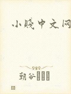 小贱中文网