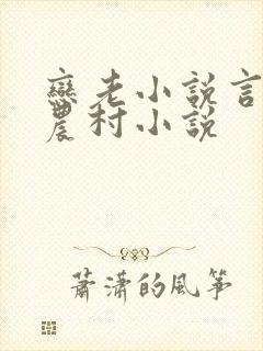 恋老小说言情网农村小说