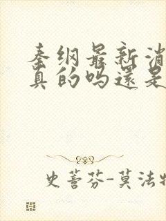 秦纲最新消息是真的吗还是假的