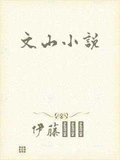 文山小说