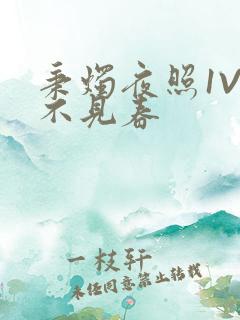 秉烛夜照1V2不见春