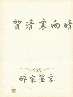 贺清寒向晴小说