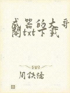 成器的大哥笔趣阁txt下载