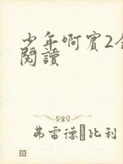 少年啊宾2全文阅读