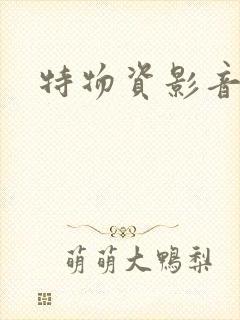 特物资影音先锋