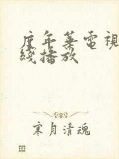 度年华电视剧在线播放