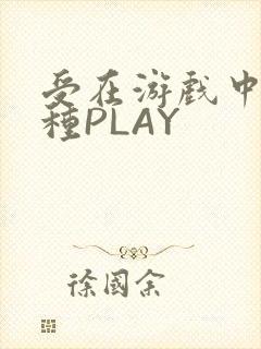 受在游戏中被各种PLAY
