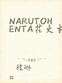 NARUTOHENTA花火本子