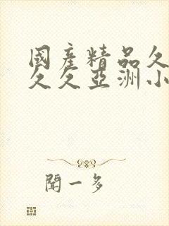 国产精品久久久久久亚洲小说