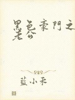 黑色豪门之王子老公