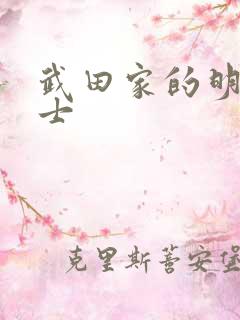 武田家的明国武士