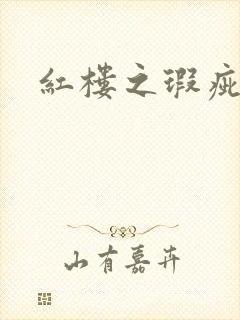 红楼之瑕疵