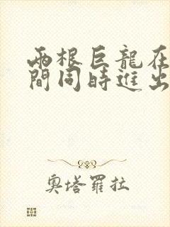 两根巨龙在她腿间同时进出