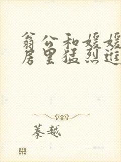 翁公和媛媛在厨房里猛烈进出