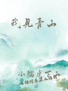 我见青山