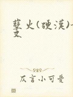 孽火(硬汉)今又