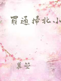 罗通扫北小说