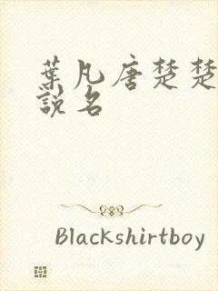 叶凡唐楚楚的小说名