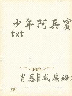 少年阿兵宾小说txt