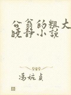 公翁的粗大放进晓静小说
