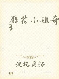 壁花小姐奇遇记3