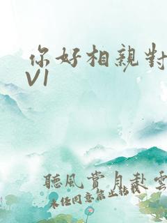 你好相亲对象1V1