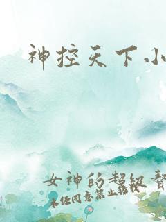神控天下小说